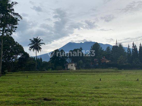 Tanah bagus 2000 SHM m² megamendung bogor 