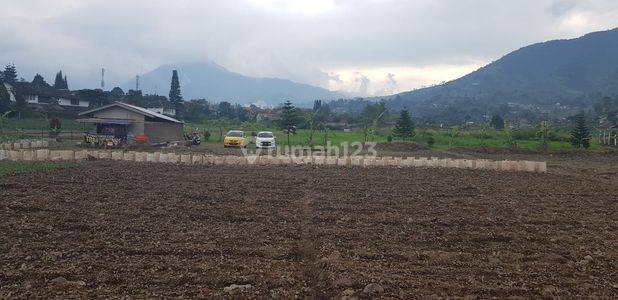 Tanah di Cianjur Cipanas Atiek