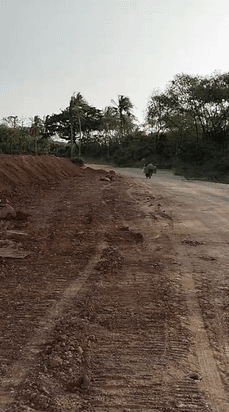 Tanah Tepi Pantai Tanjung Lesung View Bagus