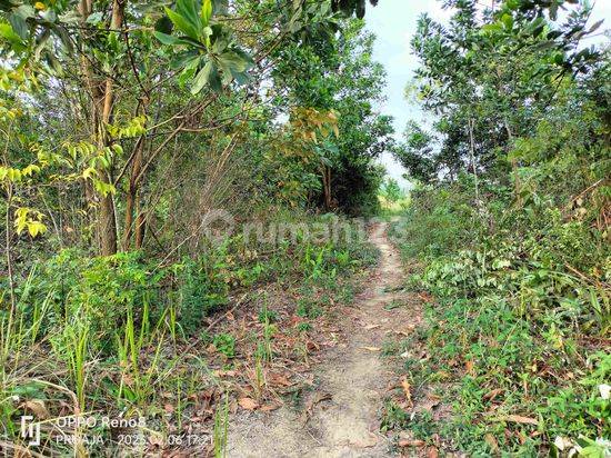 Tanah Datar Bebas Bajir Dijual Di Kota Baru Jambi 