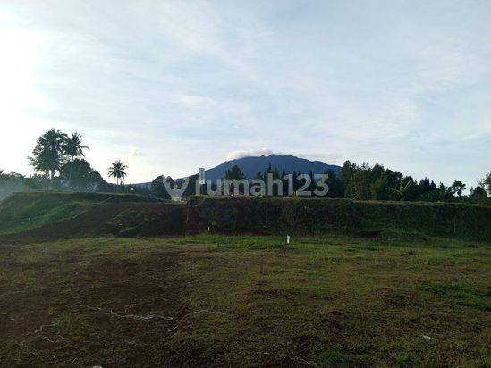 Jual tanah kavling murah berkualitas di puncak Bogor 