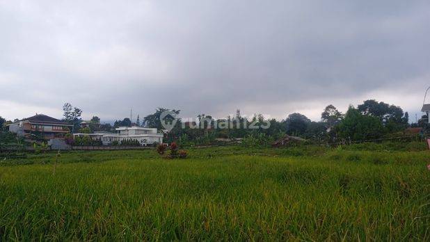 Dijual Tanah Murah  Di Puncak ,  Cipanas
