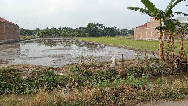 Dijual Tanah Murah Daerah Baki Luas 2.200 M2