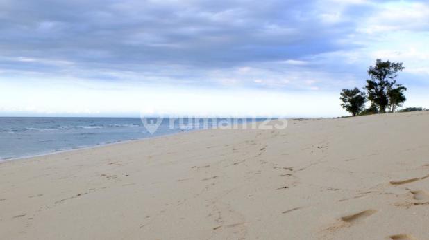 Kavling di bibir pantai KITA, disamping Hotel Mario & Cafe, lebar 20 meter, panjang 200 meter