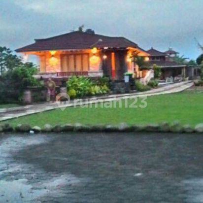 Jual Rumah, Tanah, Sawah di Gadog, Mega Mendung, Ls 1,5 Ha
