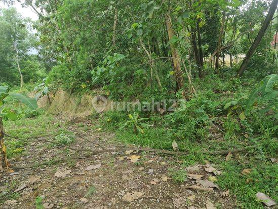 Tanah siap bangun di utara solo dekat ndalem kopi wonorejo gondangrejo