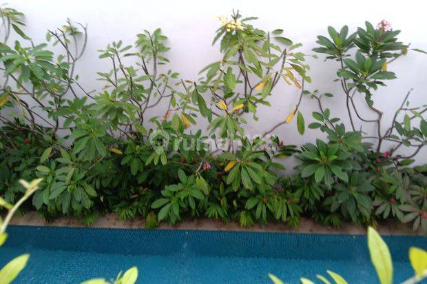 Rumah Mewah Siap Huni Pondok Indah Non Komplek Dekat Ke Pim Jakarta Selatan 