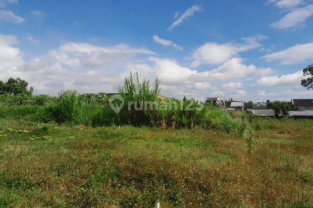 Tanah Luas Cocok Untuk Hunian Area Kedungkandang Malang