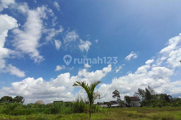 Tanah Luas Cocok Untuk Hunian Area Kedungkandang Malang