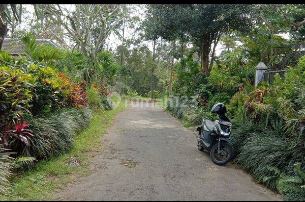 Tanah di Perum Gunung Buring Malang Lokasi Strategis 
