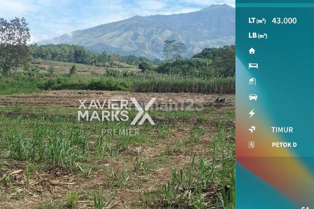 Tanah Luas di Toyomarto Singosari Malang Lokasi Strategis 