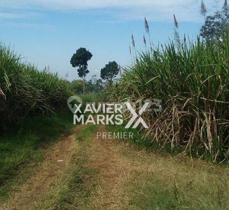 Tanah Luas di Toyomarto Singosari Malang Lokasi Strategis 