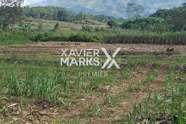 Tanah Luas di Toyomarto Singosari Malang Lokasi Strategis 