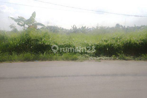Tanah Disewakan Pinggir Jalan Raya Ciracas