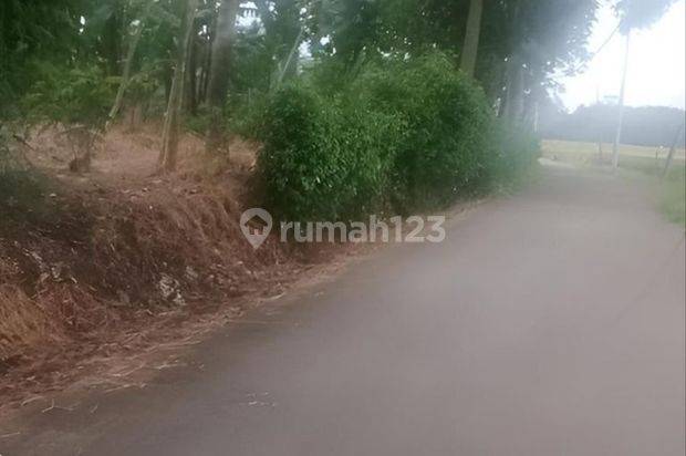 C011 Dijual Tanah Dekat Kawasan Wisata Bunderlan Karangduren Pakisaji Malang