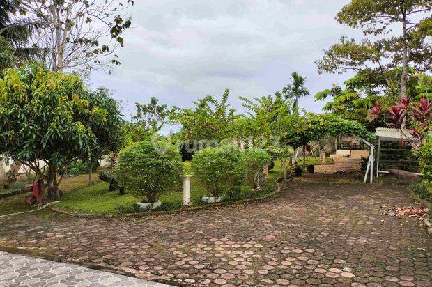 Jual Rumah Luas Tanah 18 Tumbuk Di Jambi