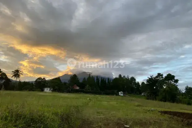 Tanah kavling darat di puncak untuk vila