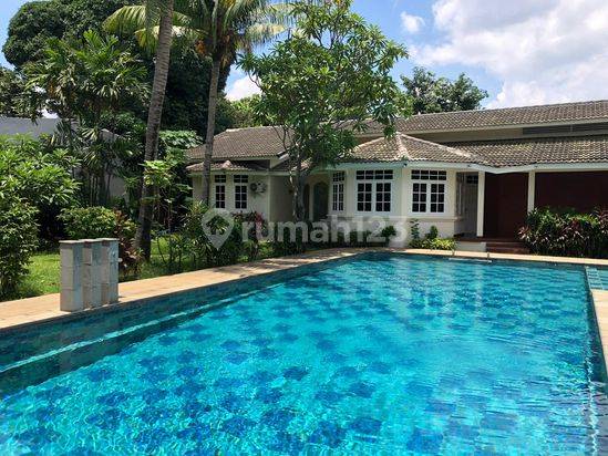 For Rent Sewa Rumah Murah Nuansa Bali Harga Murah Taman Besar Ada Paviliun Di Kuningan Patra Kuningan Jakarta Selatan