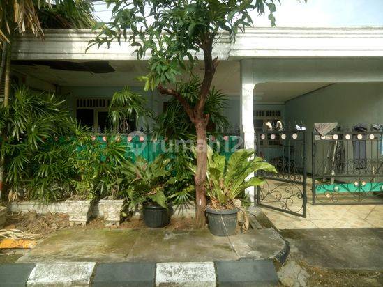 Dijual Rumah Murah Dan Strategis di Bumi Anggrek 