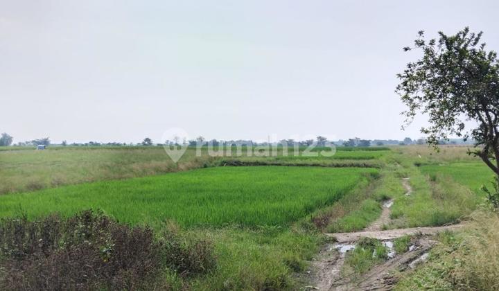 Dijual Tanah Majalengka Jawa Barat 2