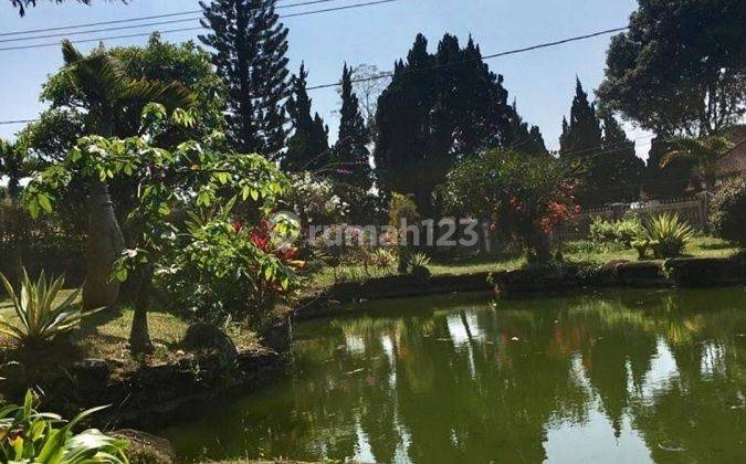 Di Jual Vila di Cipanas Cianjur Jawa Barat  9