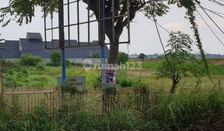 Di Jual Tanah Lokasi Strategis di Babelan Bekasi  2