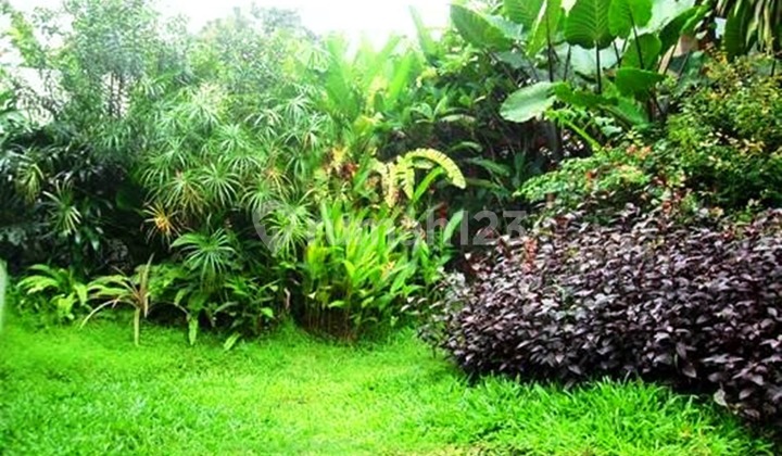 Modern Newly Renovated Quiet And Secure Area Close To Jis Modern Newly Renovated Quiet And Secure Area Close To Jis