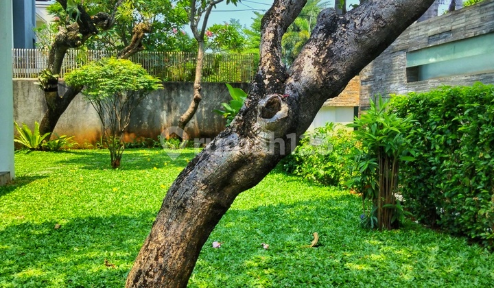 For Expats: Luxurious House, Quiet and Secure, Nica Garden with Pool, Near Senayan For Expats: Luxurious House, Quiet and Secure, Nica Garden with Pool, Near Senayan