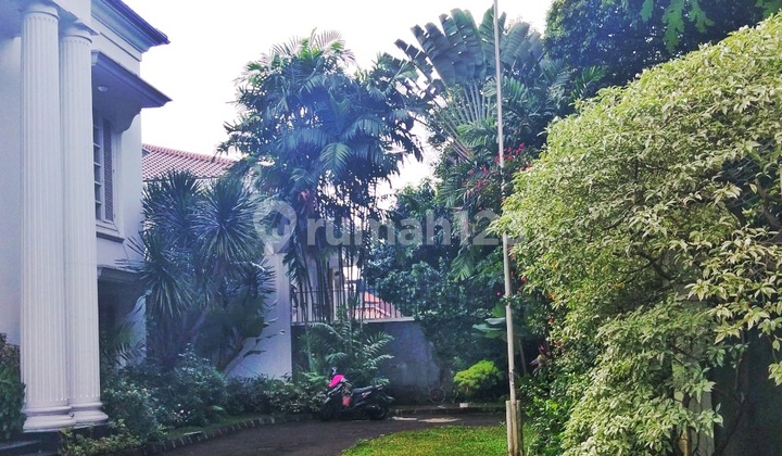 Rumah Lux Mewah Siap Huni Lokasi Premium Di Sriwijaya Rumah Lux Mewah Siap Huni Lokasi Premium Di Sriwijaya