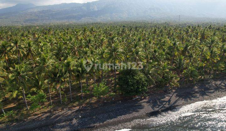 Leasehold - Exclusive Beachfront Land in Tejakula, Buleleng - A Rare Investment Opportunity 1