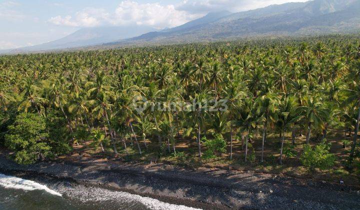 Leasehold - Exclusive Beachfront Land in Tejakula, Buleleng - A Rare Investment Opportunity 2