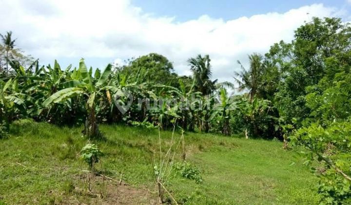 Freehold - Land Near Balian Beach, Bali Only 200M To Shore