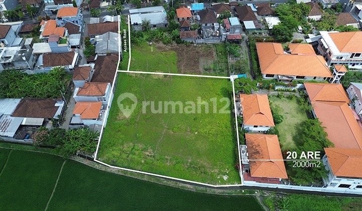 Leasehold - Tranquil 2000 sqm Leasehold Land with Rice Field View in Babakan, Canggu