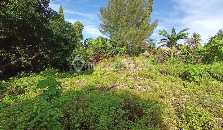 Freehold - Riverside Land for Sale in Prime Canggu, Bali Location Freehold - Riverside Land for Sale in Prime Canggu, Bali Location