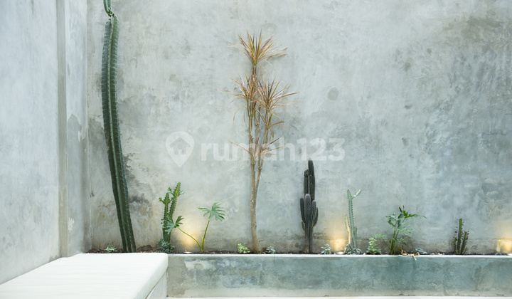 Leasehold - Modern Minimalist Villa with Rice Field Views, Minutes from Berawa Beach Leasehold - Modern Minimalist Villa with Rice Field Views, Minutes from Berawa Beach