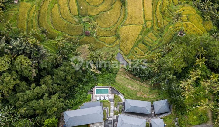Freehold - Rice Field Vista Retreat Serene Luxury Living in Ubud's Panoramic Paradise