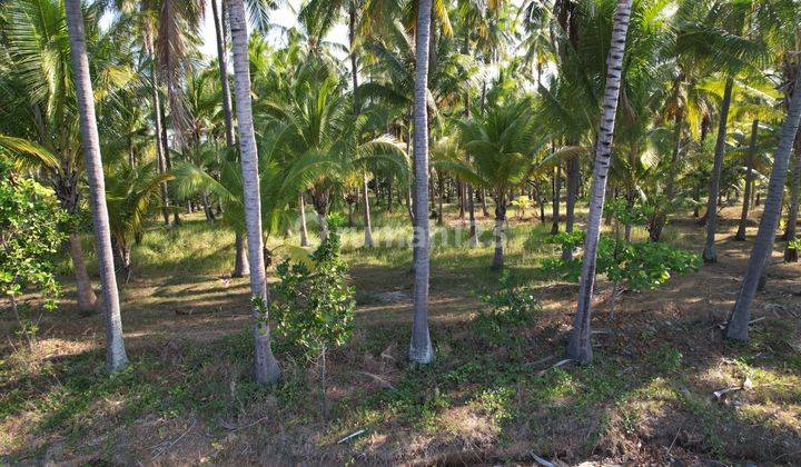 Leasehold - Exclusive Beachfront Land in Tejakula, Buleleng - A Rare Investment Opportunity 2