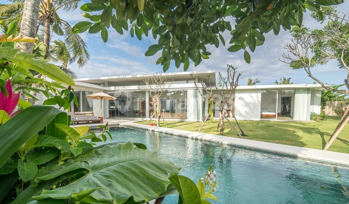 Freehold - Timeless Tropical Villa with Sophisticated Charm in Umalas