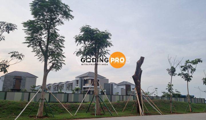 Dijual Kavling Komersil Pik2 1051 M2, Lokasi Bagus, Strategis 2