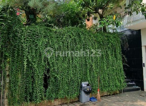 Dijual Rumah Mewah Katamaran Indah Pik - Jakarta Utara 2