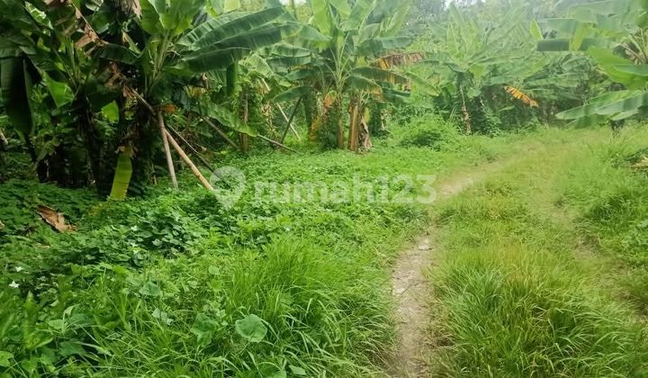 Land for Sale Below NJOP, Prime Land in Kemang - South Jakarta