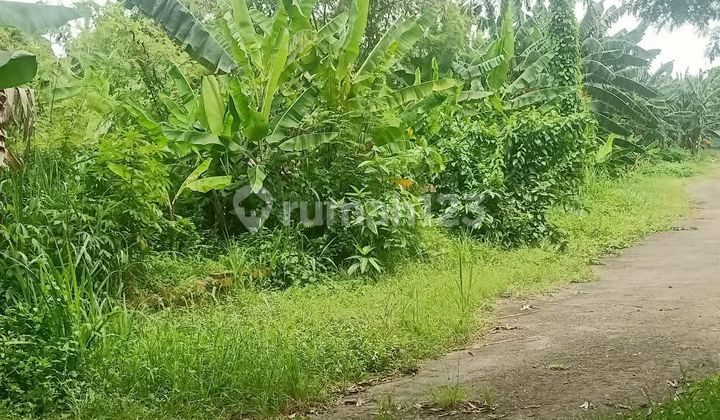 Land for Sale Below NJOP, Prime Land in Kemang - South Jakarta
