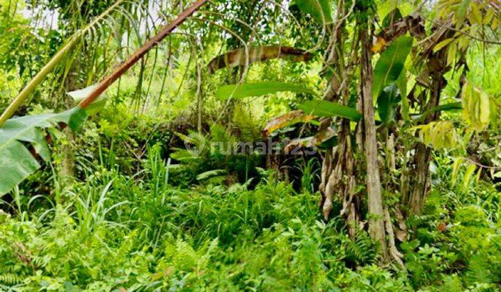 PASTI CLOSING DI JUAL TANAH LOKASI PAYANGAN UBUD GIANYAR 2