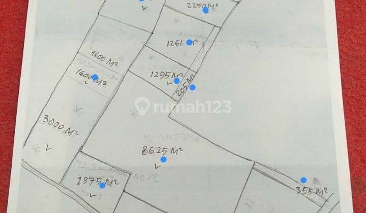 SURE DEAL FOR SALE LAND LOSS SEA VIEW BEACH LOCATION TEJAKULA BULELENG
 2