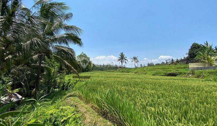 SURE DEAL FOR SALE LAND VIEW FOREST FIELD & RIVER LOCATION VEHICLE UBUD GIANYAR 2