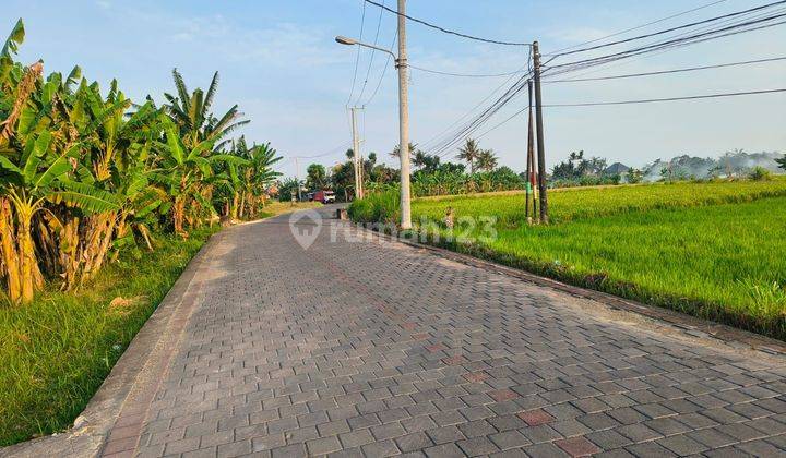 DEFINITELY A DEAL FOR SALE LAND LOCATION LOT BERABAN TABANAN 2