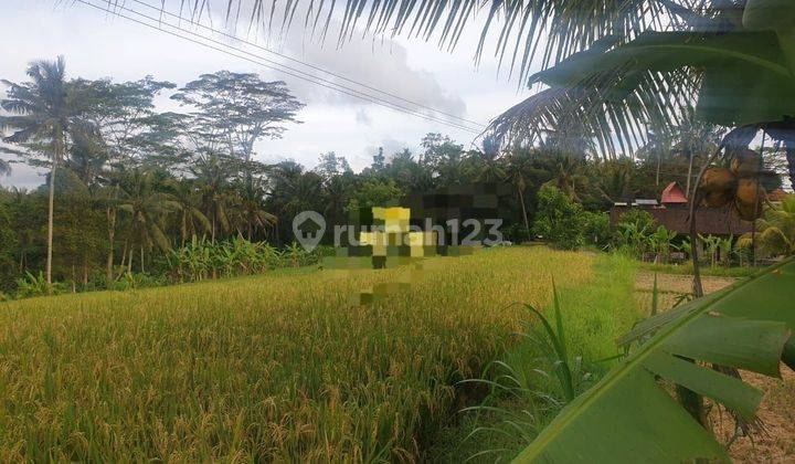 SURE DEAL FOR SALE ROADSIDE LAND LOCATION PAYANGAN UBUD GIANYAR 2