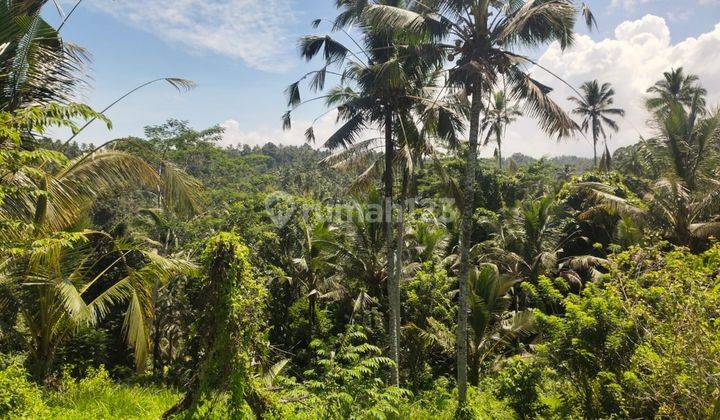 Dijual Tanah Lokasi Pupuan Selemadeg Dengan View Lembah 1