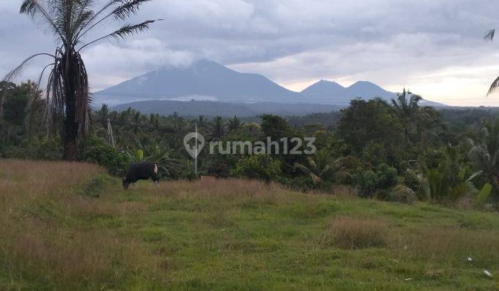 Dijual Tanah Lokasi Bantas Selemadeg Timur 1