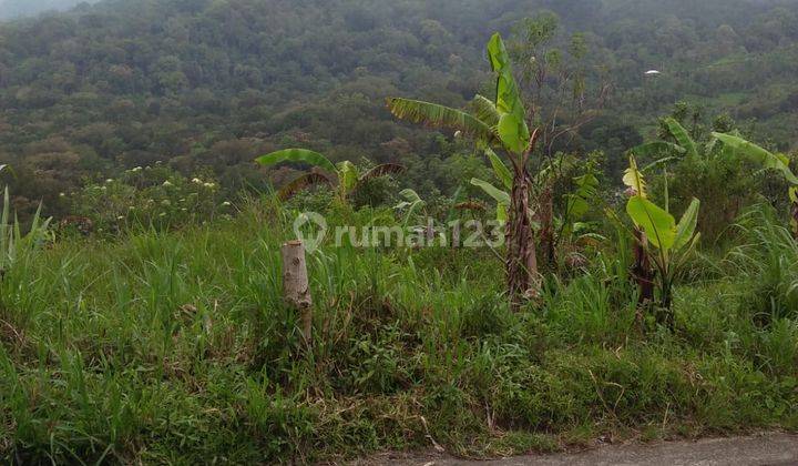 Dijual Tanah Kawasan Wisata Lokasi Munduk Tamblingan 2